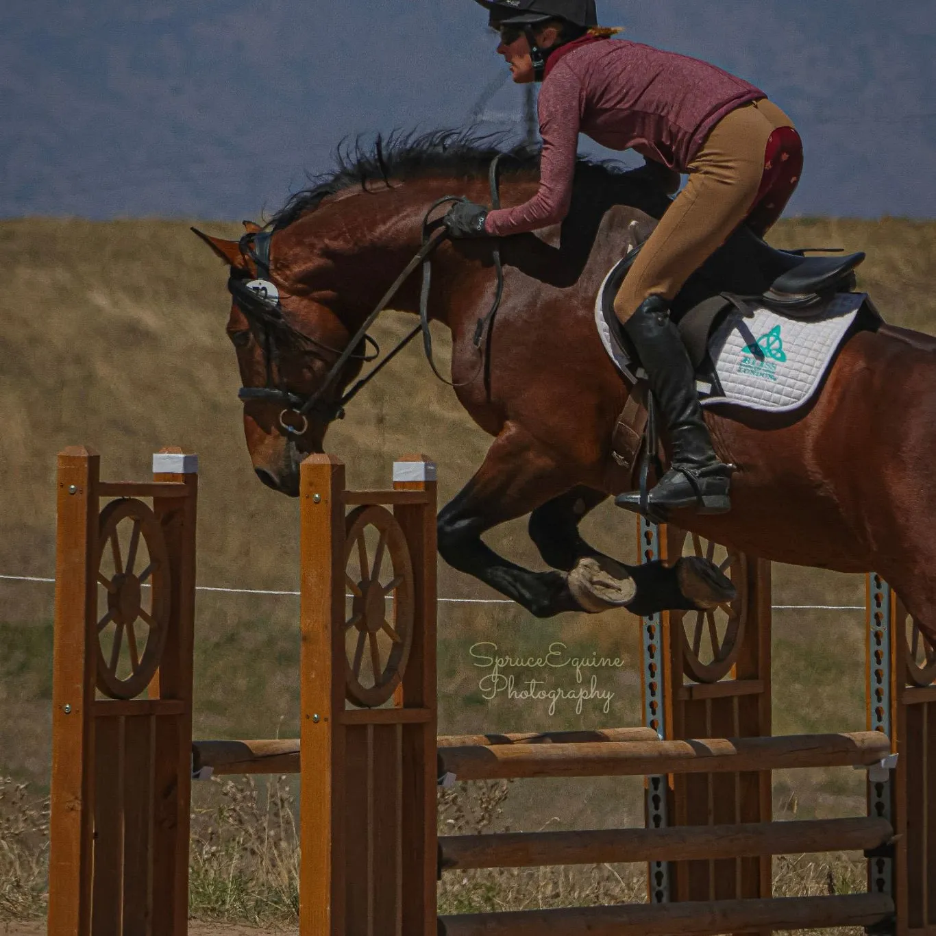 White Lodge Sullivan's Glory jumping a course fence