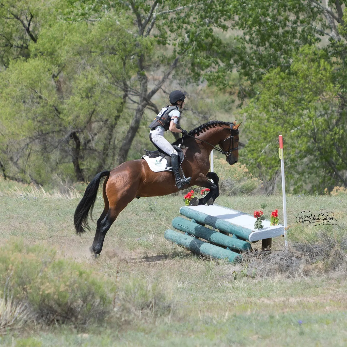 White Lodge Sullivan's Glory jumping cross-country