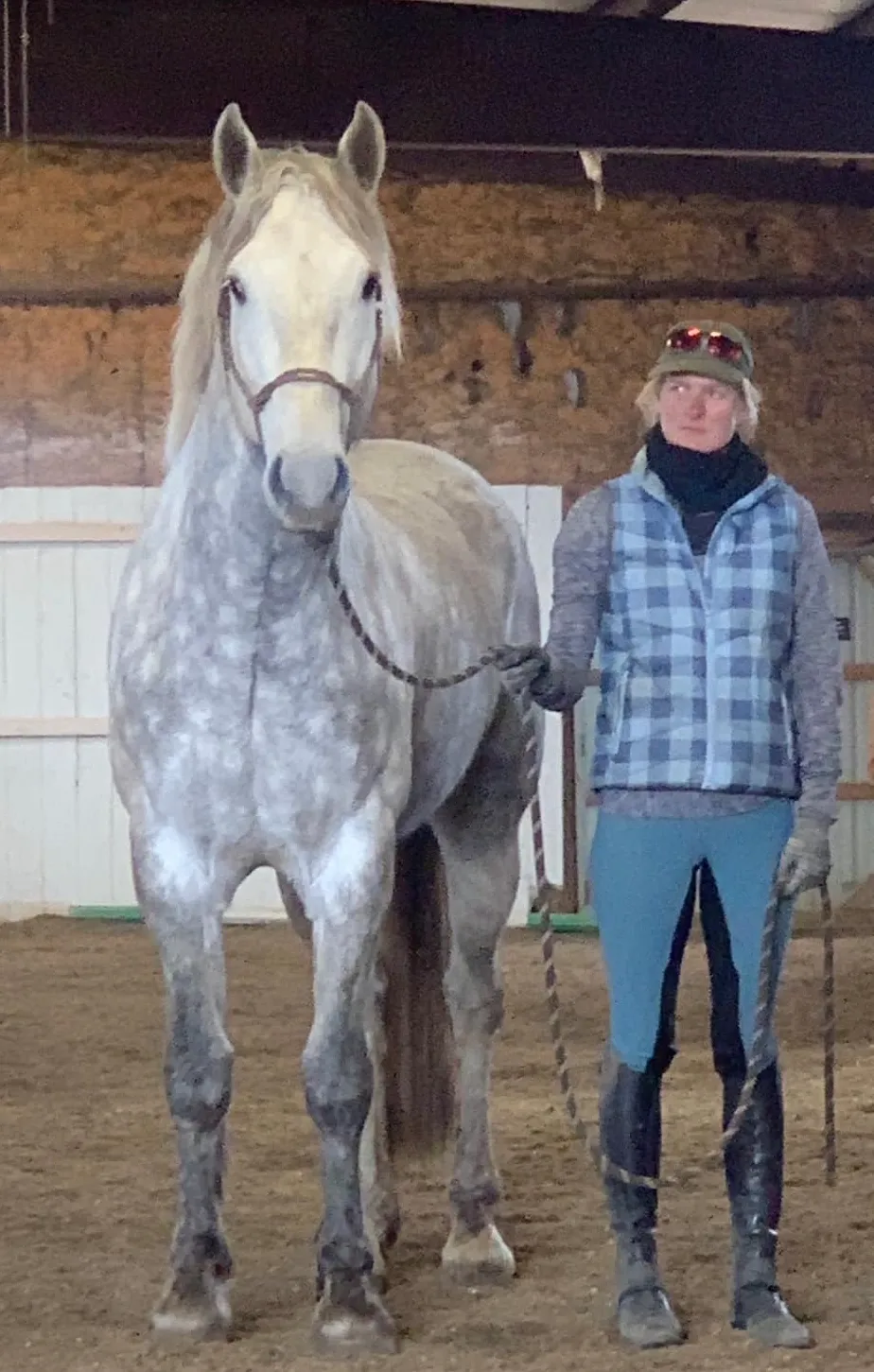 Farraway Quicksilver standing in hand in the indoor arena