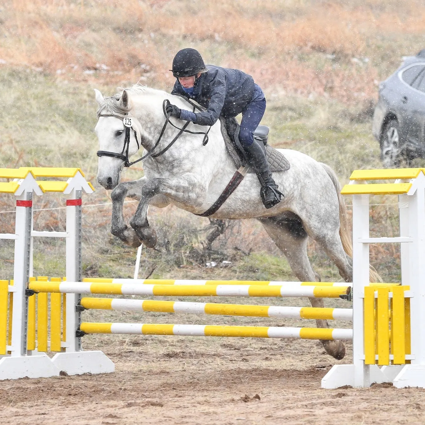 Farraway Quicksilver jumping a showjumping course