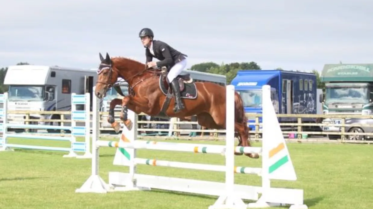 Chestnut Irish Sport Horse mare Ruby Clover jumping a course fence