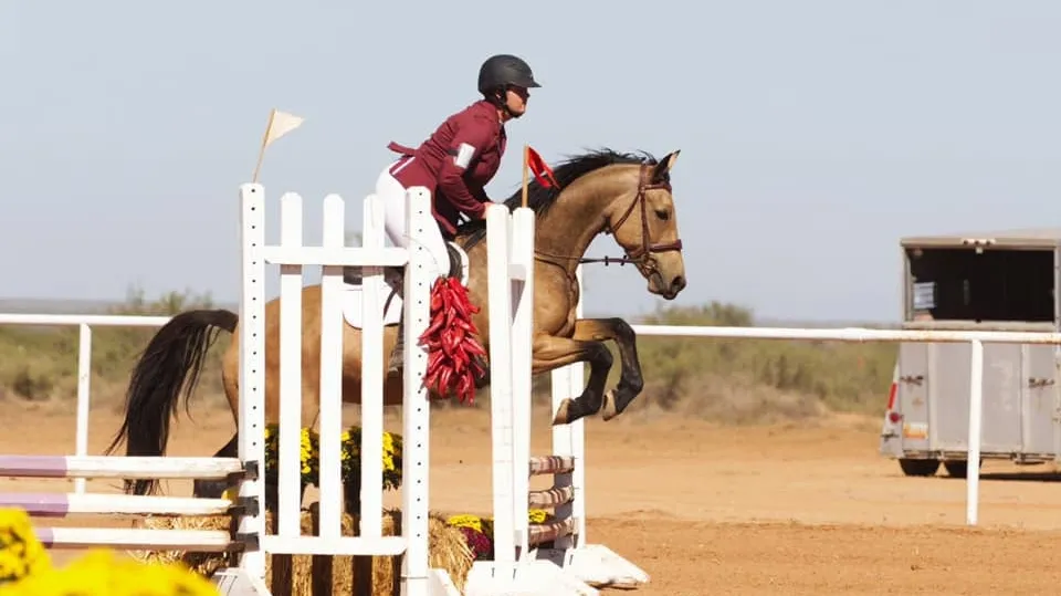 Buckskin mare Sahara Skye jumping a decorated show fence