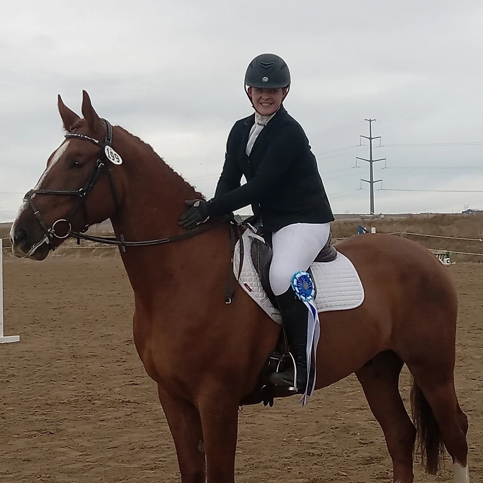 Bell Tower Banrion's Hero under saddle with his amateur rider